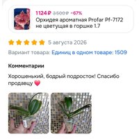 f1d13194-5eb6-44fc-90dc-625f2f0506a2.jpg